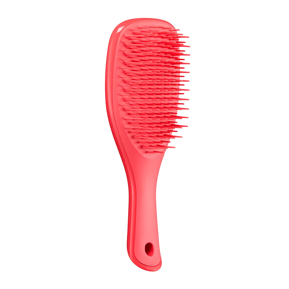 Щётка для расчёсывания мокрых волос TANGLE TEEZER THE ULTIMATE DETANGLER MINI PINK PUNCH Щётка для расчёсывания мокрых волос TANGLE TEEZER THE ULTIMATE DETANGLER MINI PINK PUNCH