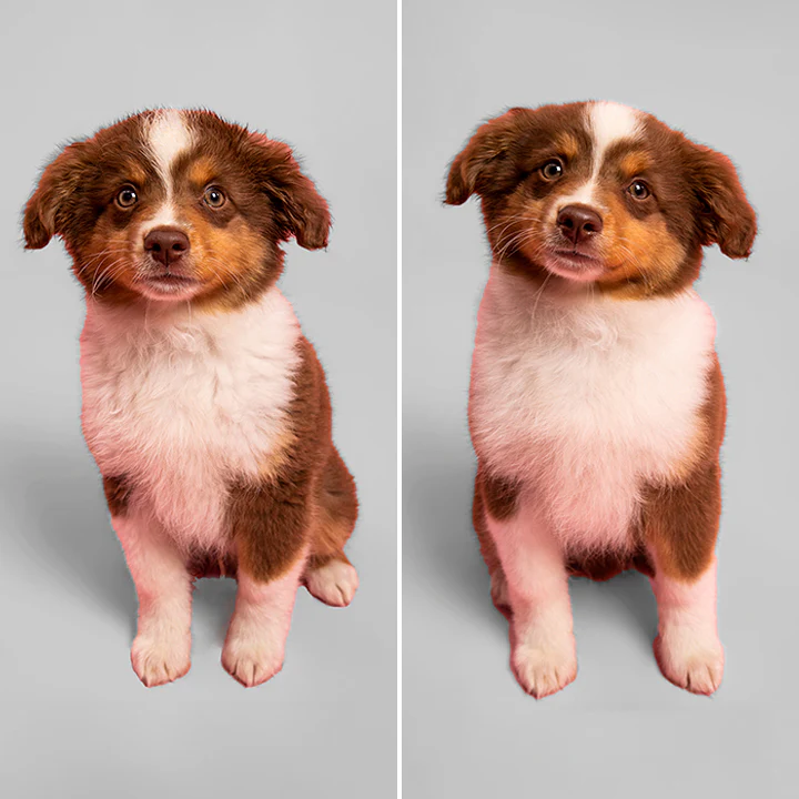 Гребінець-щітка для вичісування щенят PET TEEZER PUPPY BRUSH GREEN Гребінець-щітка для вичісування щенят PET TEEZER PUPPY BRUSH GREEN